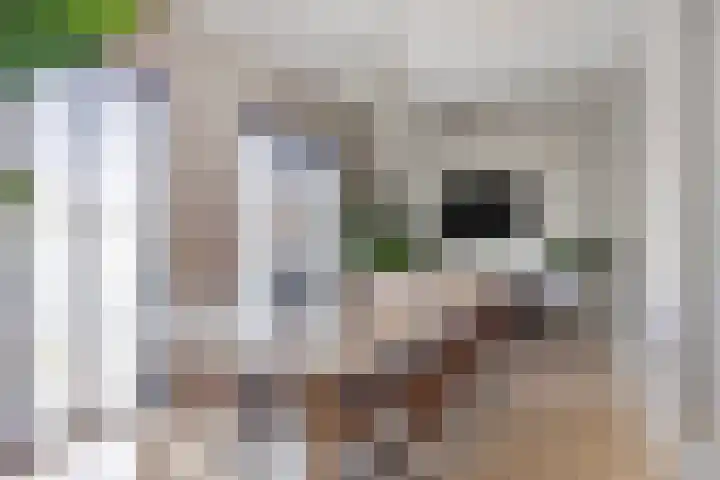 Zuiderlicht 135 Heerhugowaard thumbnail 6
