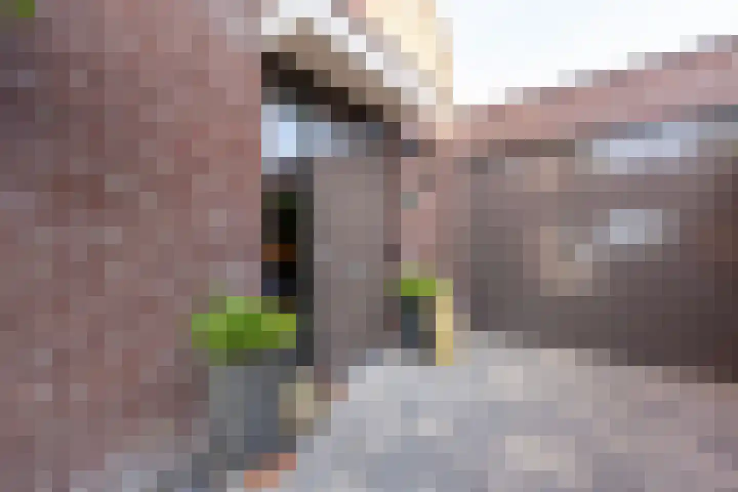 Zuiderlicht 161 Heerhugowaard thumbnail 11