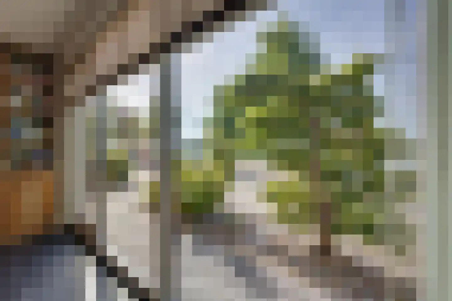 Zuiderlicht 161 Heerhugowaard thumbnail 18