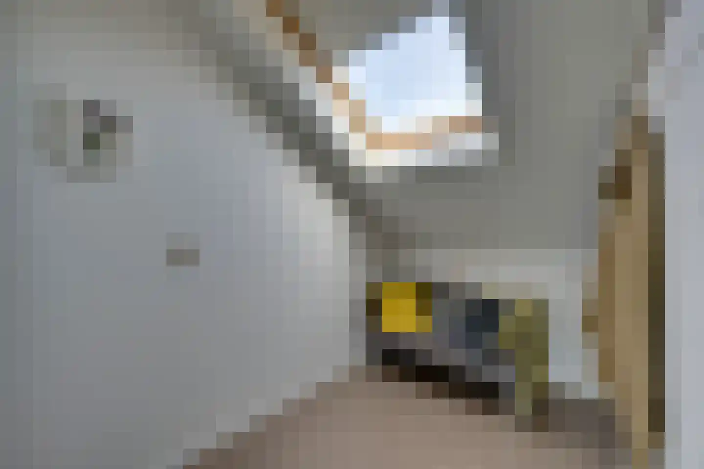 Zuiderlicht 161 Heerhugowaard thumbnail 69