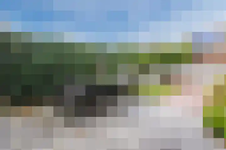 Zuiderlicht 165 Heerhugowaard thumbnail 33