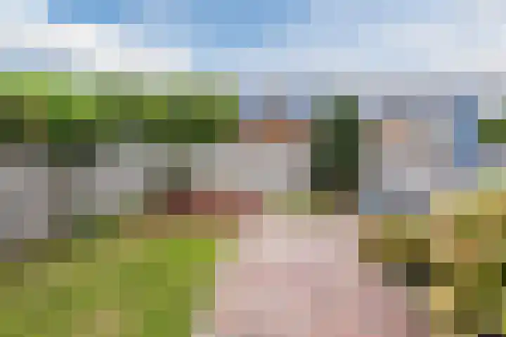 Zuiderlicht 165 Heerhugowaard thumbnail 35