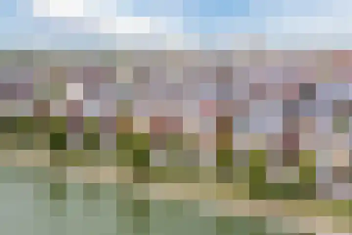 Zuiderlicht 165 Heerhugowaard thumbnail 4