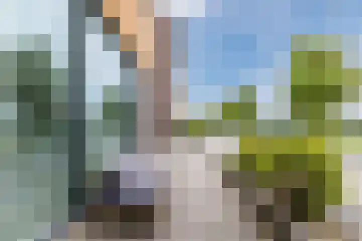 Zuiderlicht 165 Heerhugowaard thumbnail 44