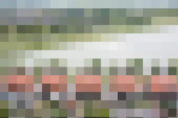 Zuiderlicht 165 Heerhugowaard thumbnail 47