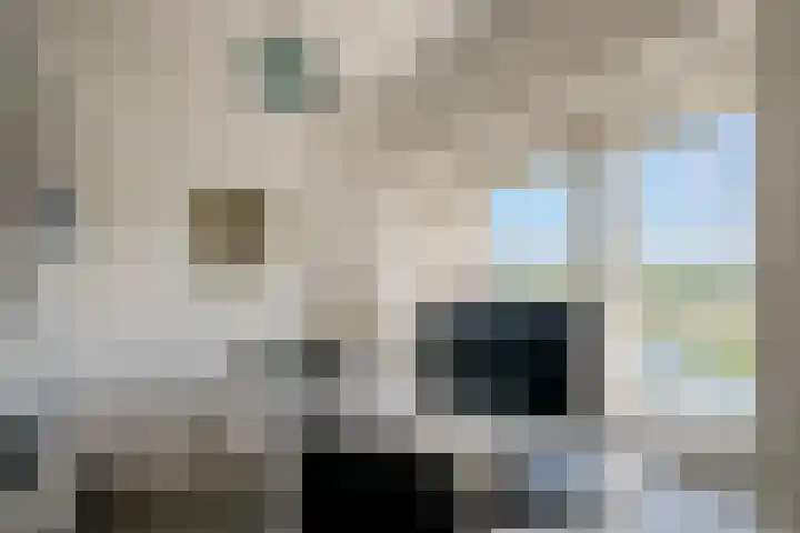 Zuiderlicht 22 Heerhugowaard thumbnail 28