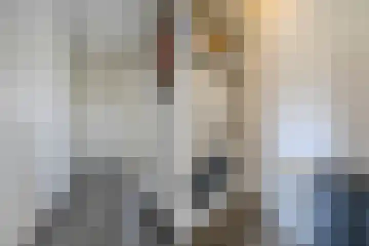 Zuiderlicht 22 Heerhugowaard thumbnail 30