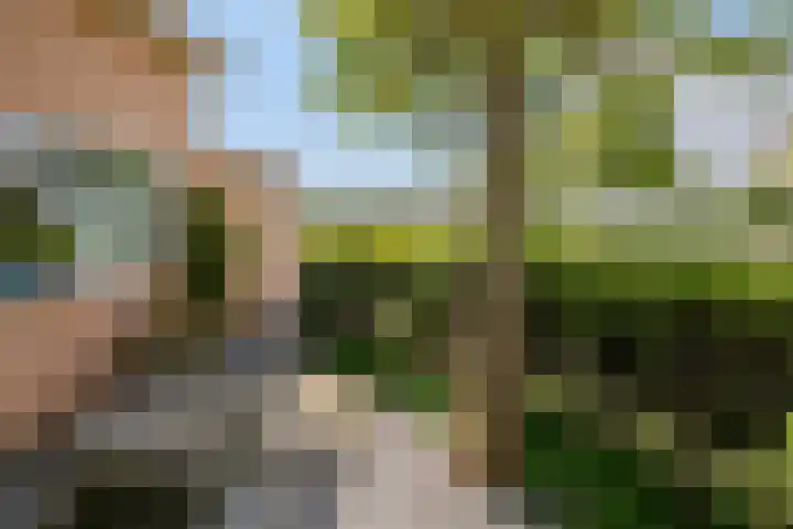 Zuiderlicht 22 Heerhugowaard thumbnail 31