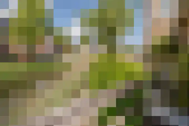 Zuiderlicht 22 Heerhugowaard thumbnail 32
