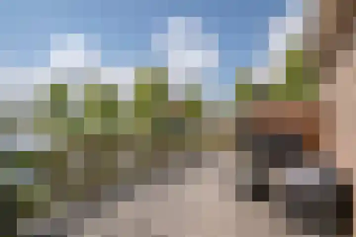 Zuiderlicht 22 Heerhugowaard thumbnail 33