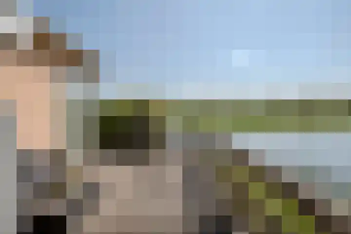 Zuiderlicht 22 Heerhugowaard thumbnail 34