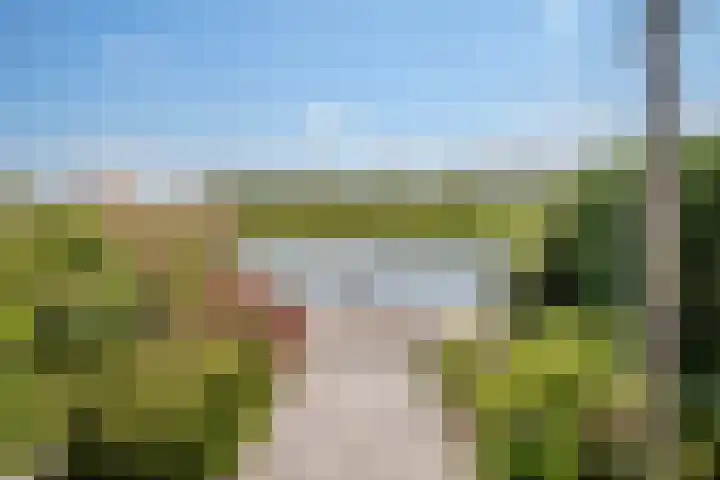 Zuiderlicht 22 Heerhugowaard thumbnail 37