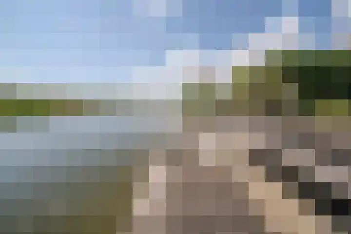 Zuiderlicht 22 Heerhugowaard thumbnail 39