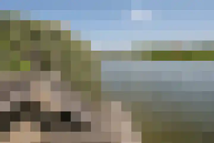 Zuiderlicht 22 Heerhugowaard thumbnail 40