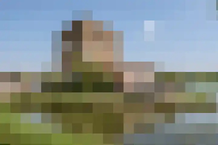 Zuiderlicht 22 Heerhugowaard thumbnail 43
