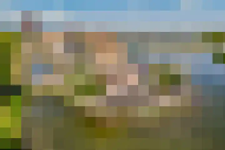 Zuiderlicht 22 Heerhugowaard thumbnail 44
