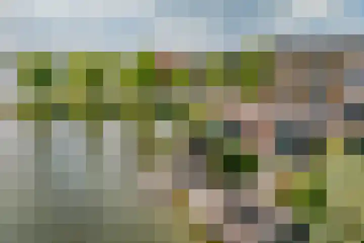 Zuiderlicht 22 Heerhugowaard thumbnail 45