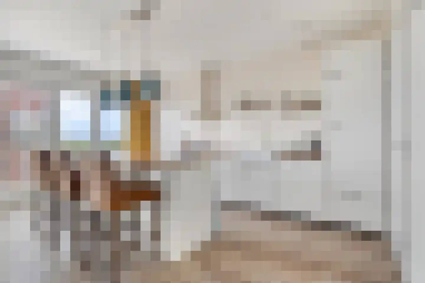 Zuiderlicht 423 Heerhugowaard thumbnail 18