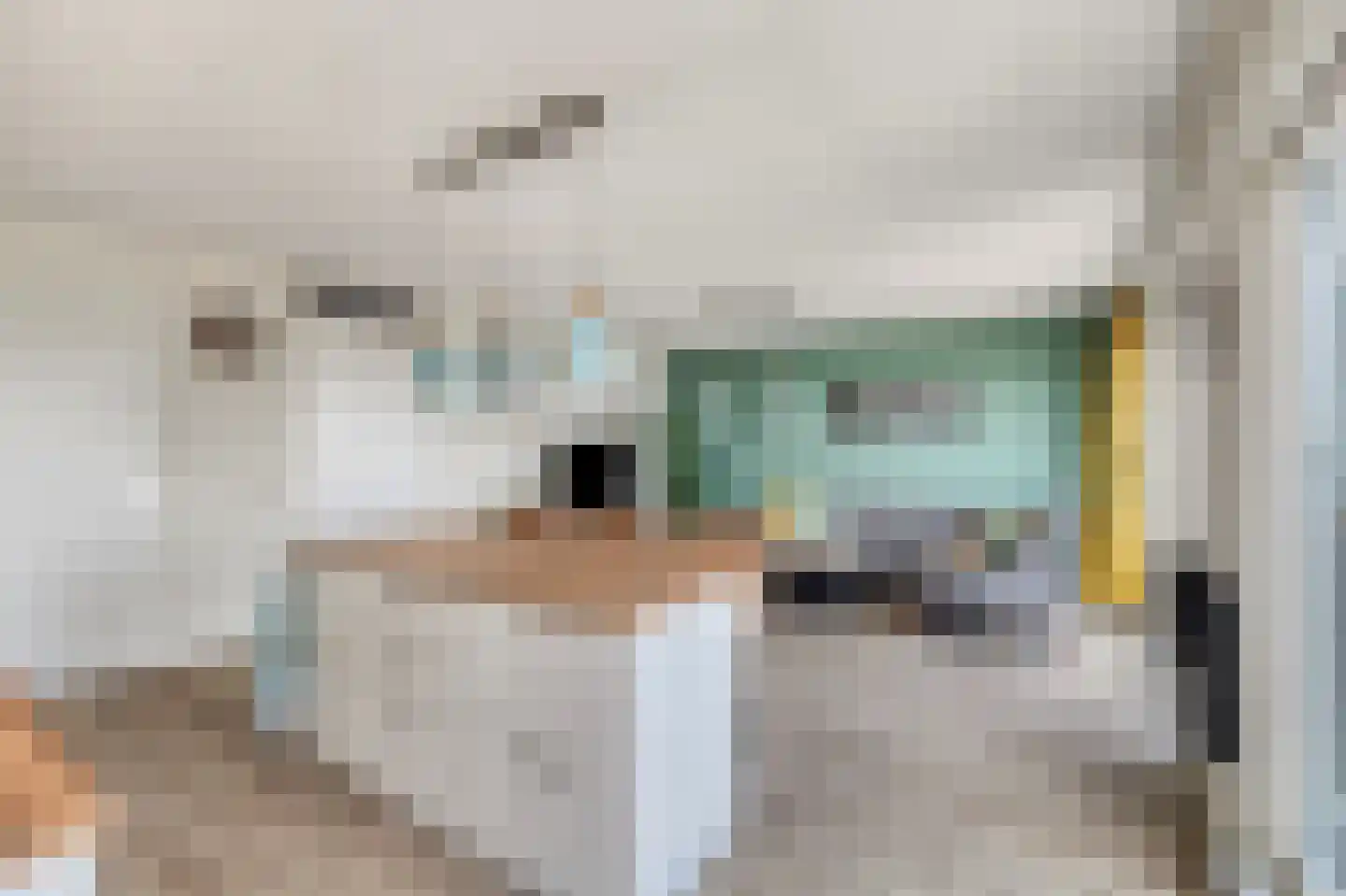 Zuiderlicht 423 Heerhugowaard thumbnail 19