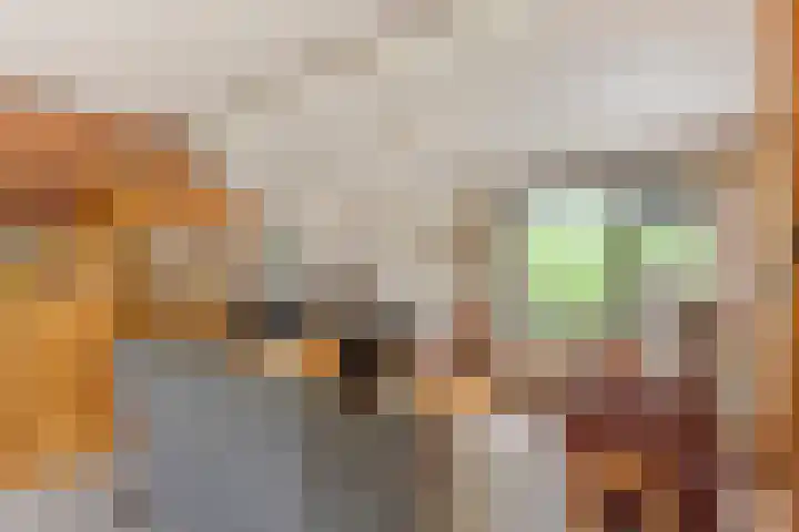 Zuiderlingedijk 10 Spijk thumbnail 14