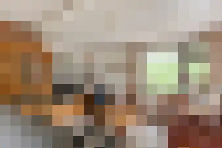 Zuiderlingedijk 10 Spijk thumbnail 15