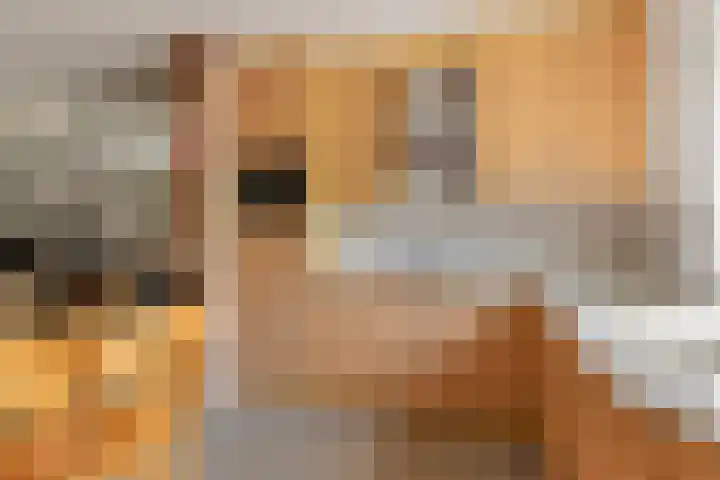 Zuiderlingedijk 10 Spijk thumbnail 18