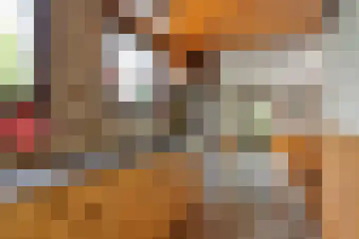 Zuiderlingedijk 10 Spijk thumbnail 27