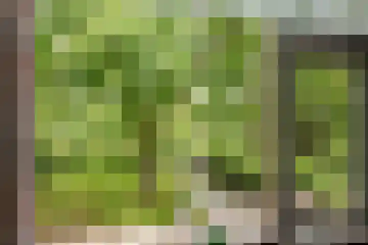 Zuiderlingedijk 10 Spijk thumbnail 31