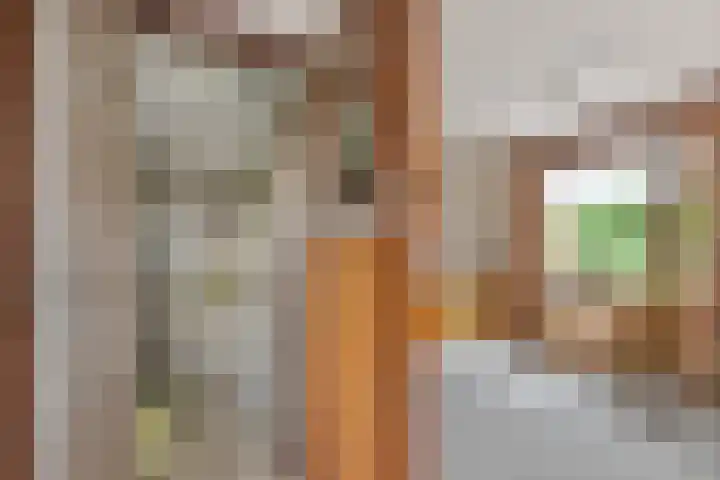 Zuiderlingedijk 10 Spijk thumbnail 33