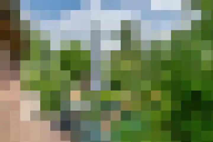 Zuiderlingedijk 10 Spijk thumbnail 36