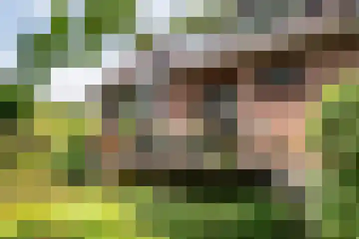 Zuiderlingedijk 10 Spijk thumbnail 4