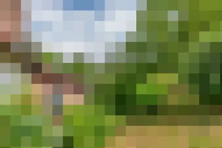 Zuiderlingedijk 10 Spijk thumbnail 48