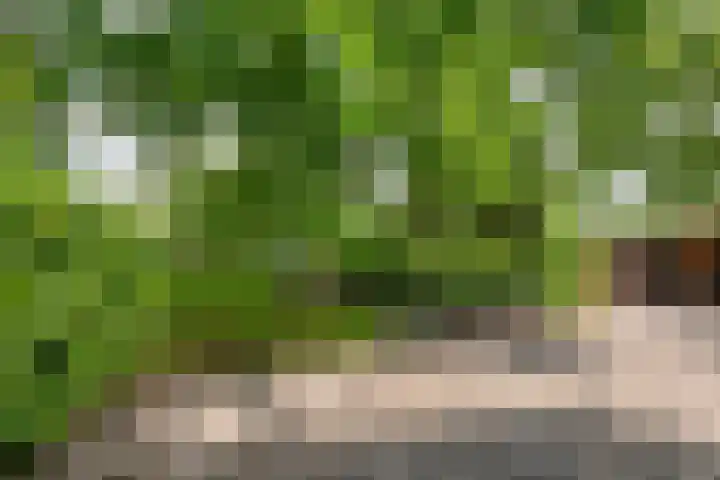Zuiderlingedijk 10 Spijk thumbnail 49