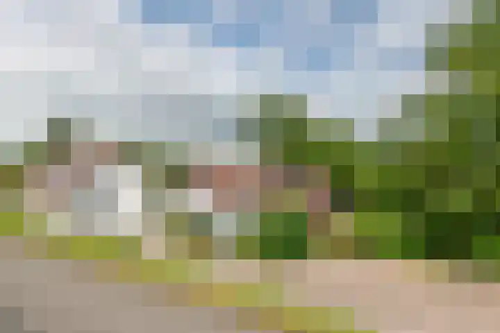 Zuiderlingedijk 10 Spijk thumbnail 5