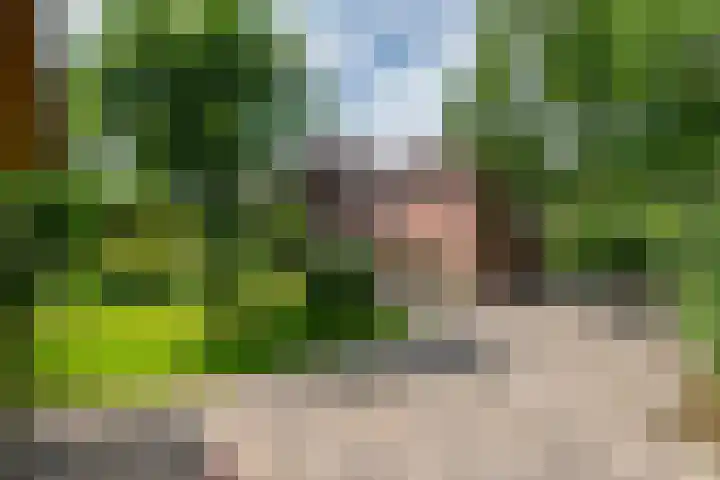Zuiderlingedijk 10 Spijk thumbnail 51