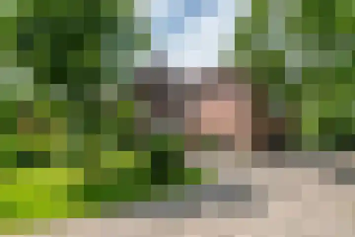 Zuiderlingedijk 10 Spijk thumbnail 52