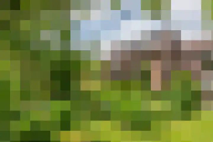 Zuiderlingedijk 10 Spijk thumbnail 53