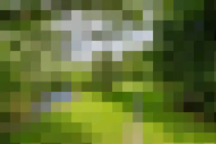 Zuiderlingedijk 10 Spijk thumbnail 54