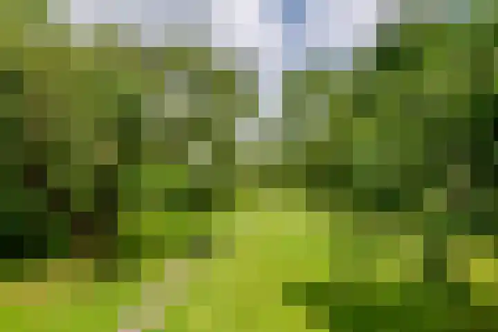 Zuiderlingedijk 10 Spijk thumbnail 55