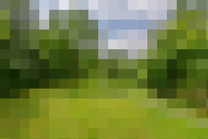 Zuiderlingedijk 10 Spijk thumbnail 56