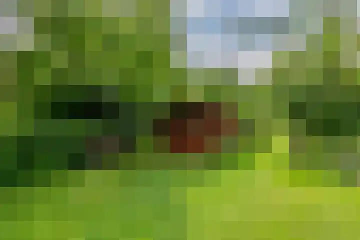 Zuiderlingedijk 10 Spijk thumbnail 57