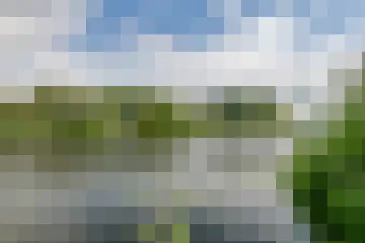 Zuiderlingedijk 10 Spijk thumbnail 59