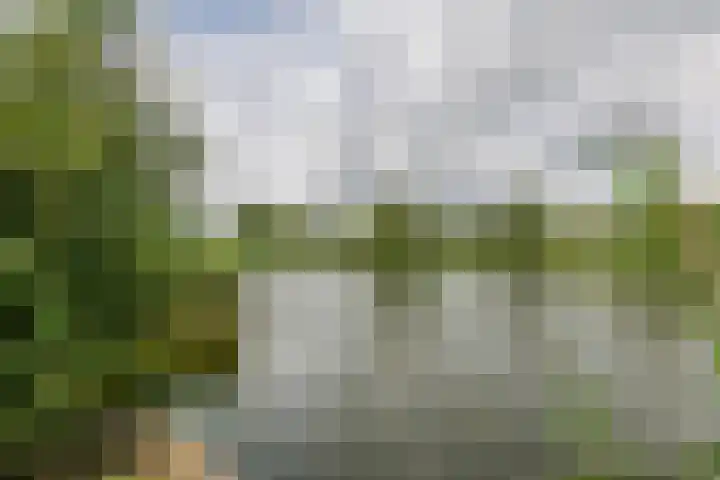 Zuiderlingedijk 10 Spijk thumbnail 60