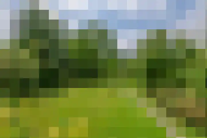 Zuiderlingedijk 10 Spijk thumbnail 61