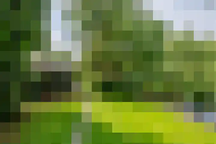 Zuiderlingedijk 10 Spijk thumbnail 63