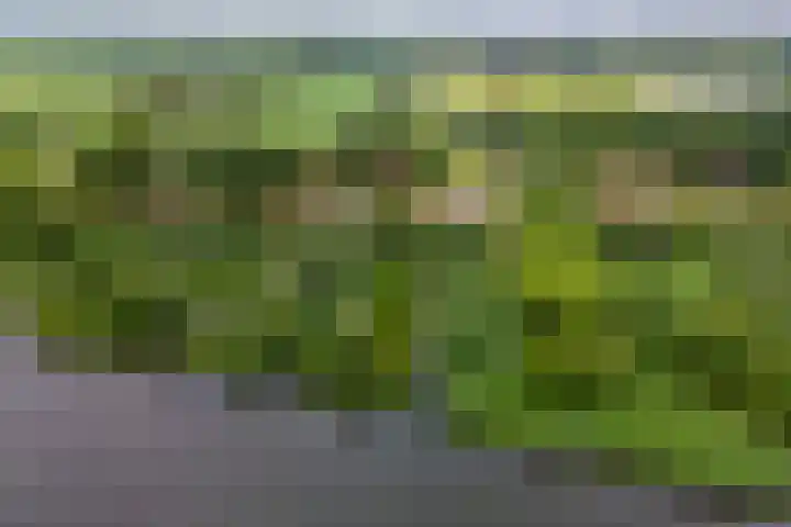 Zuiderlingedijk 10 Spijk thumbnail 66