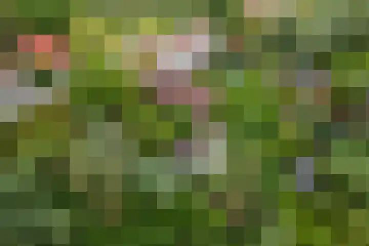 Zuiderlingedijk 10 Spijk thumbnail 67