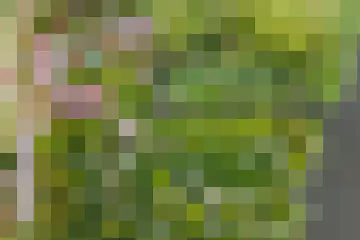 Zuiderlingedijk 10 Spijk thumbnail 68