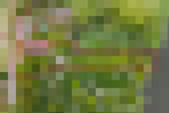 Zuiderlingedijk 10 Spijk thumbnail 69