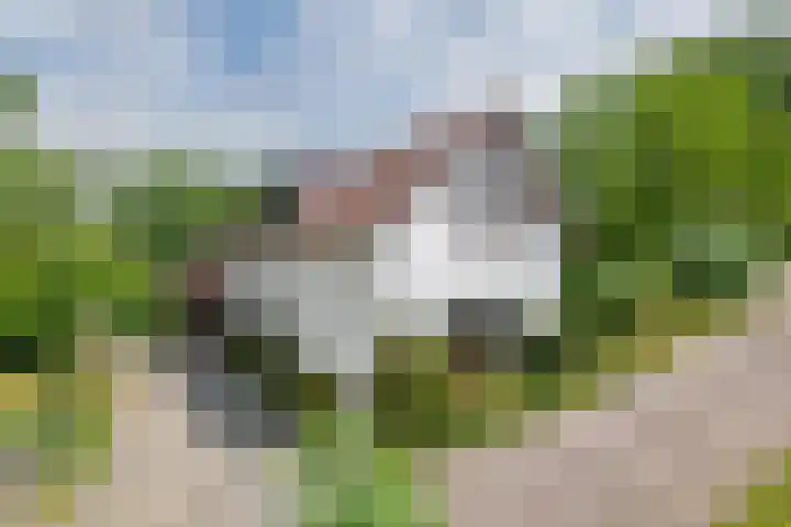 Zuiderlingedijk 10 Spijk thumbnail 7